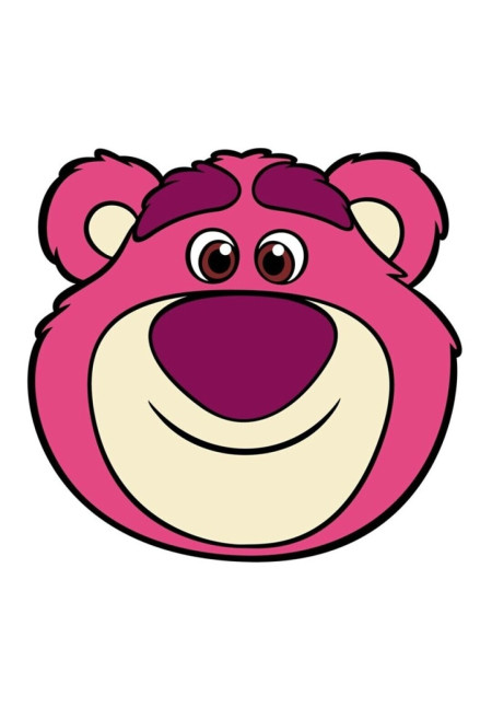Cojin LOTSO