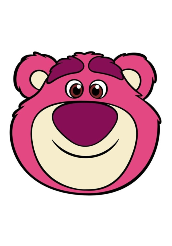 Cojin LOTSO