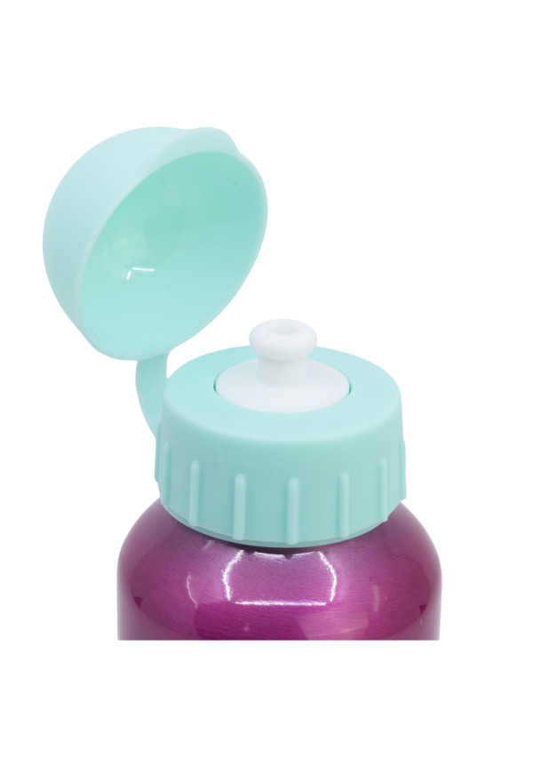 Botella 500ml aluminio PAW