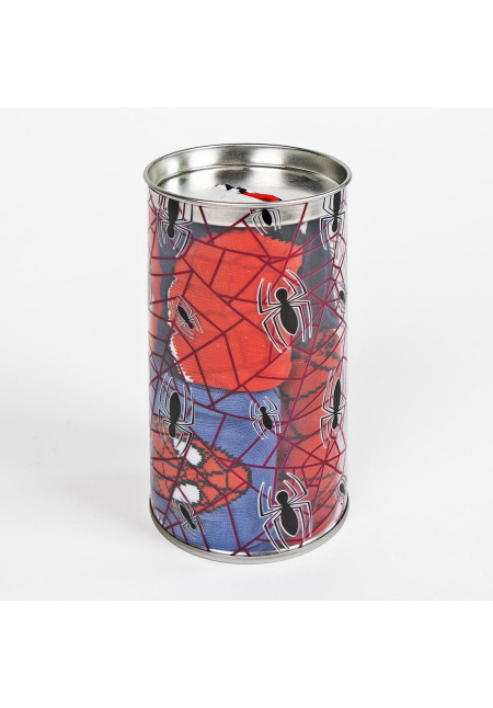Set 4 calcetines hucha SPIDER