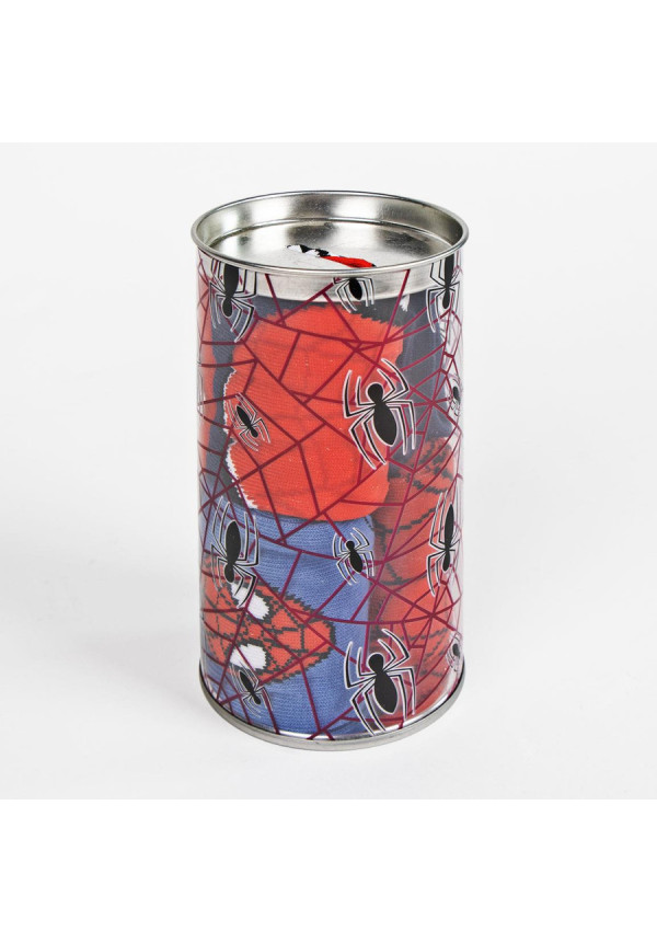 Set 4 calcetines hucha SPIDER