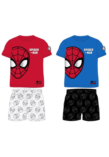 Conjunto SPIDER