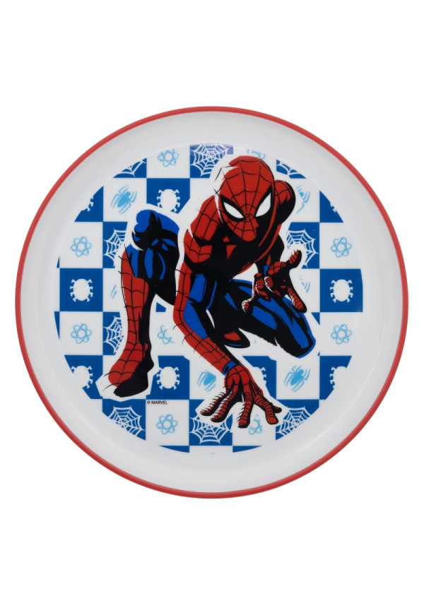 Plato antidesliz. SPIDER arachnid