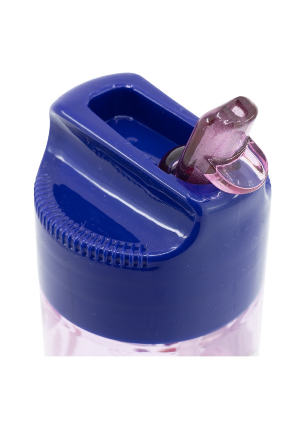 Botella hidro 540ml FROZEN trust the journey