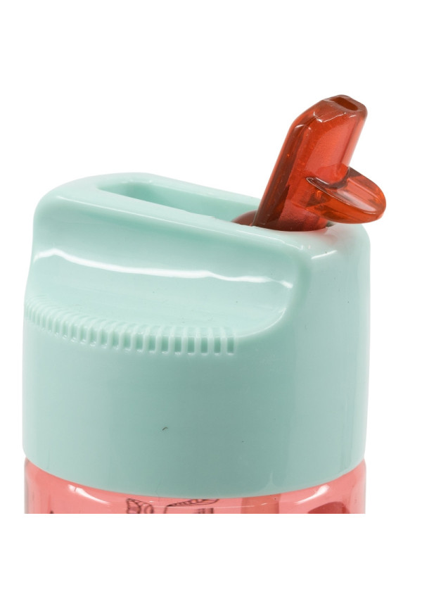 Botella hidro 540ml MINNIE flowers