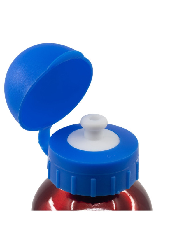 Botella 500ml aluminio SPIDER arachnid