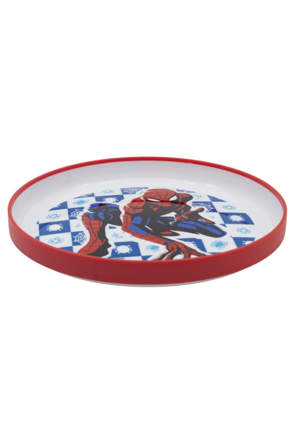 Plato antidesliz. SPIDER arachnid