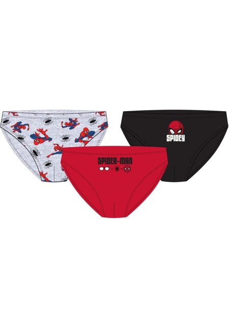 Set 3 slip SPIDER