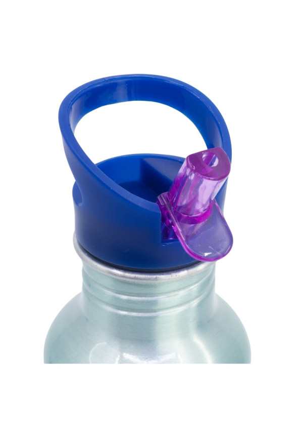 Botella nevada 545ml FROZEN