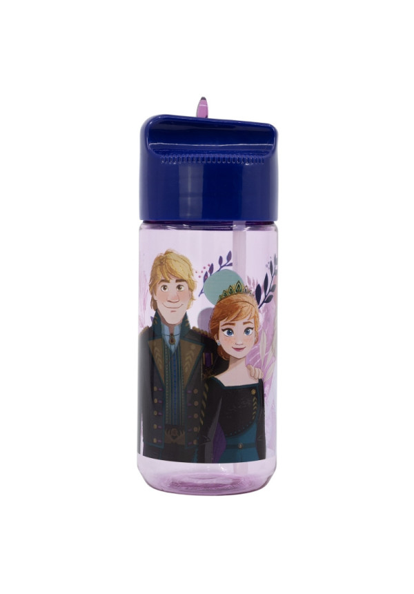 Botella hidro 450ml FROZEN
