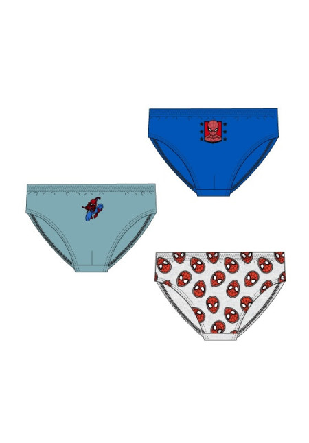 Set 3 slip SPIDER