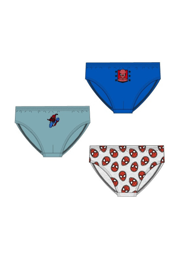 Set 3 slip SPIDER