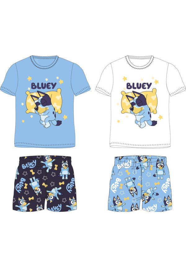 Conjunto 2pc BLUEY