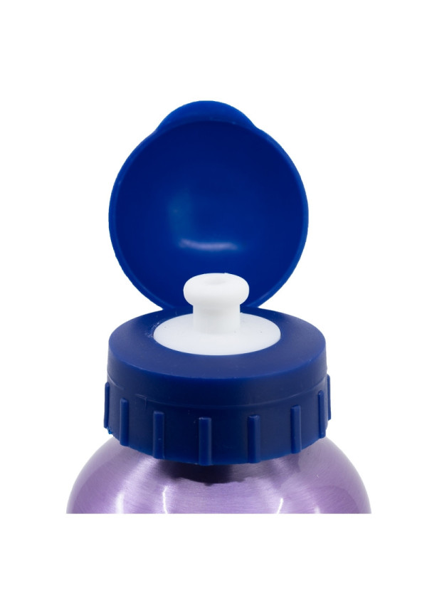 Botella 500ml aluminio FROZEN
