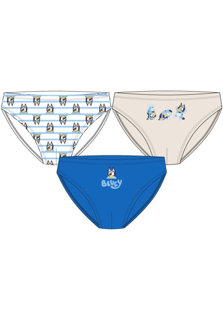 Set 3 slip BLUEY