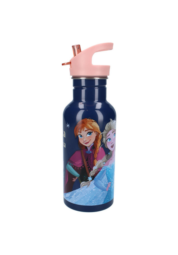 Botella 500ml FROZEN