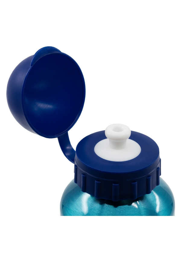 Botella 400ml aluminio BLUEY