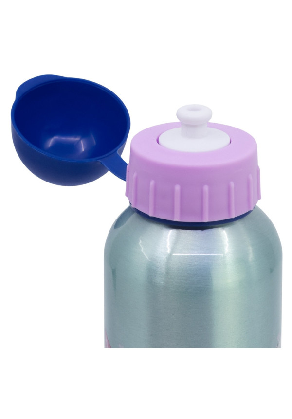 Botella 500ml aluminio FROZEN