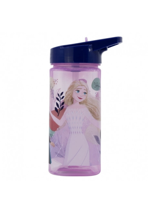 Botella 510ml FROZEN square