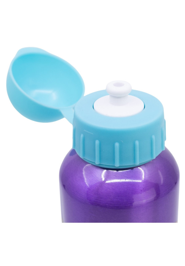 Botella 500ml aluminio PRINCESAS