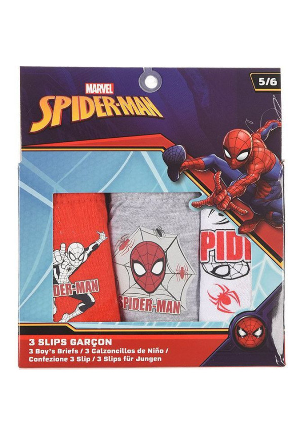 Set 3 slip SPIDER