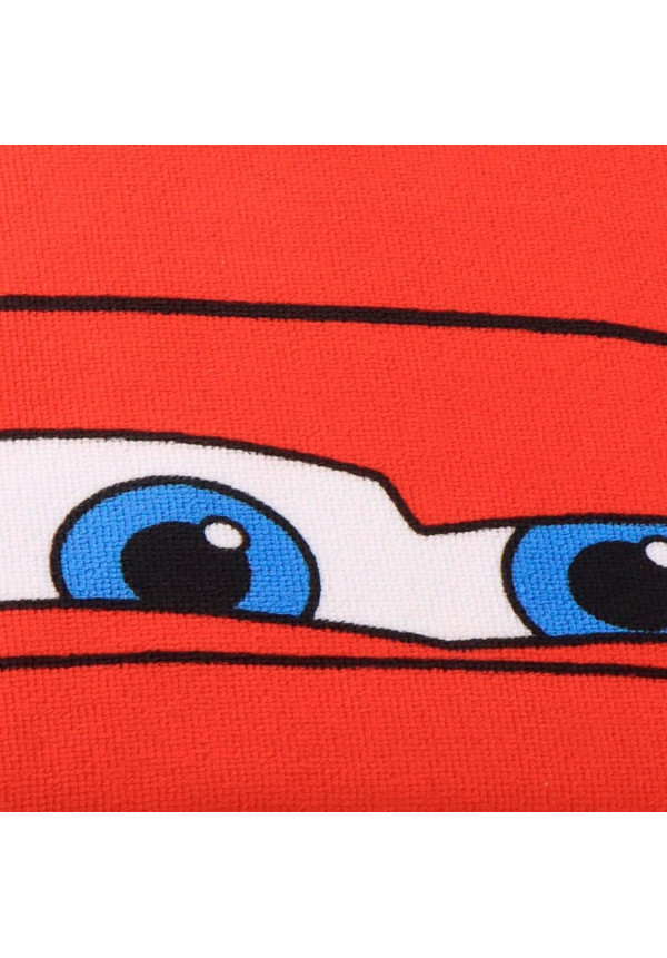 Poncho micro CARS