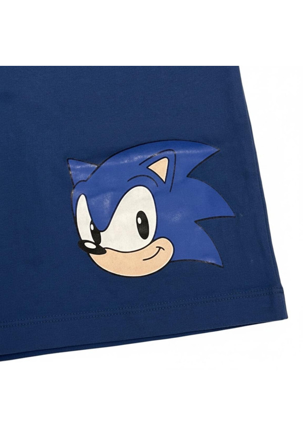 Conjunto SONIC