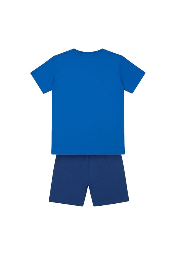 Conjunto SONIC