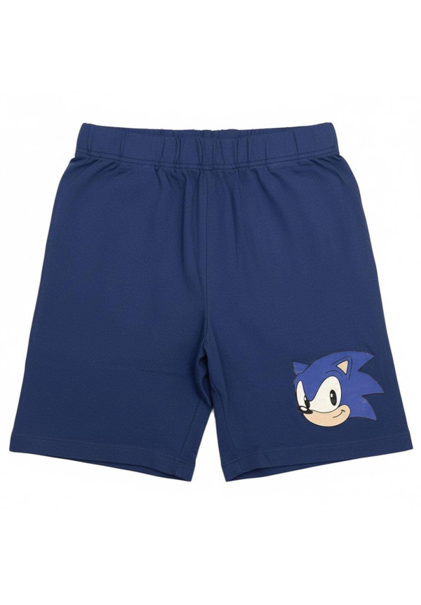 Conjunto SONIC