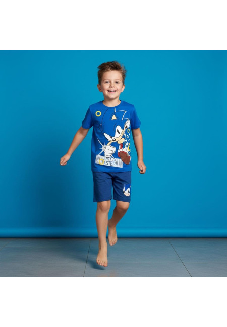 Conjunto SONIC