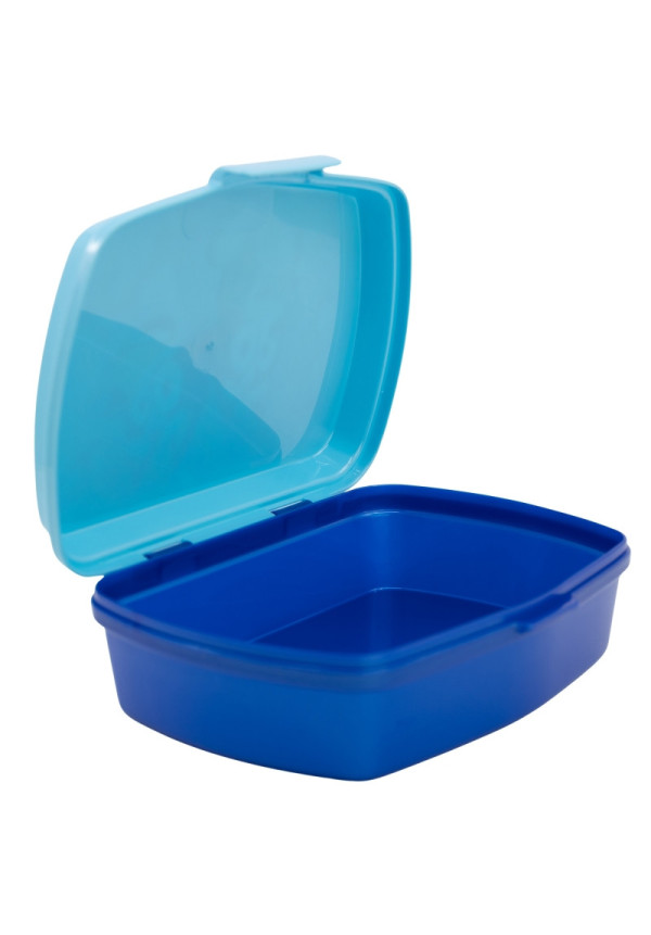 Tupper rectangular BLUEY